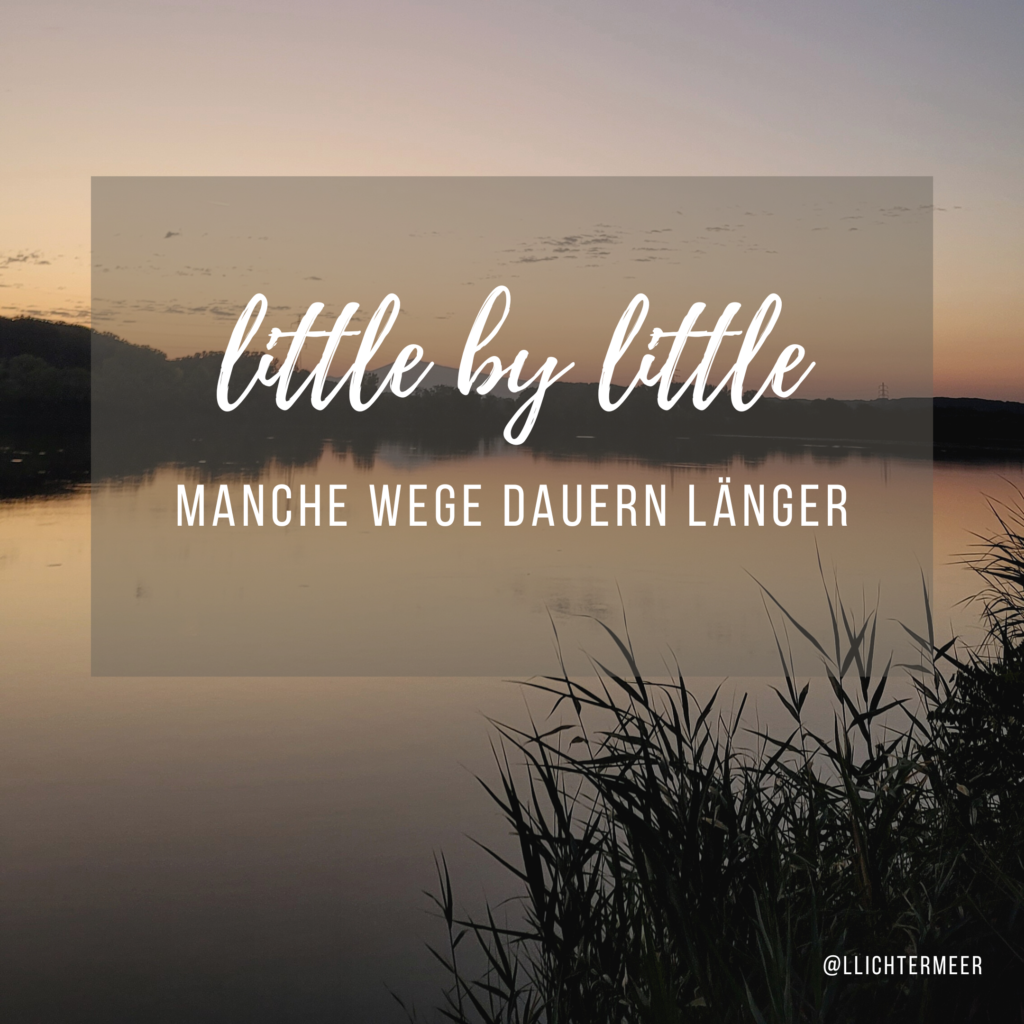 Sonnenuntergang an der Rhône in Frankreich mit Schilf im Vordergrund als Symbol für Zuversicht mit dem Text: little by little - manche Wege dauern laenger