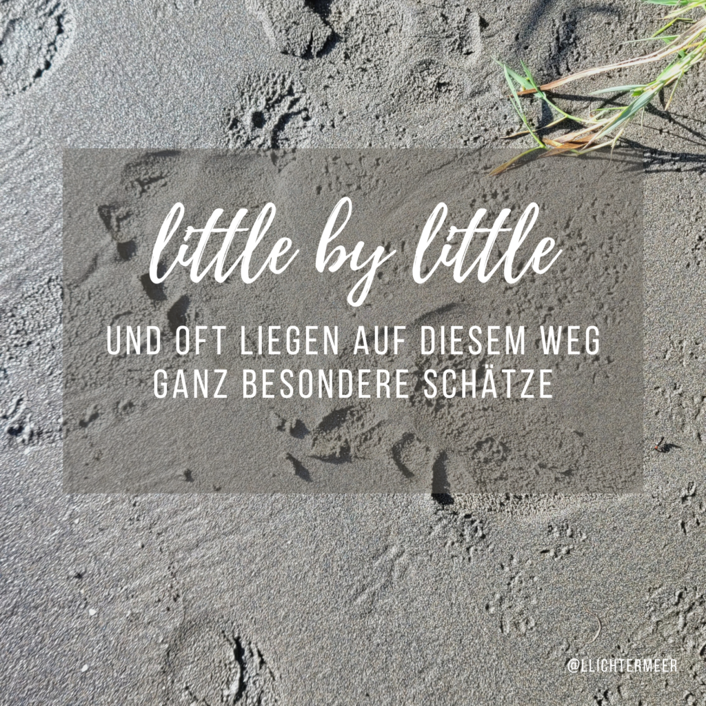 Sand mit Tier- und Menschenspuren als Symbol für Lebendigkeit und Bewegung und Halt mit dem text: little by little -